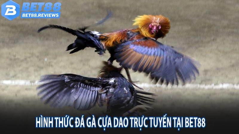 Hình thức đá gà cựa dao trực tuyến tại bet88