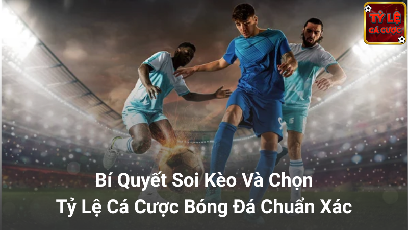 Mẹo áp dụng tỷ lệ cá cược hiệu quả