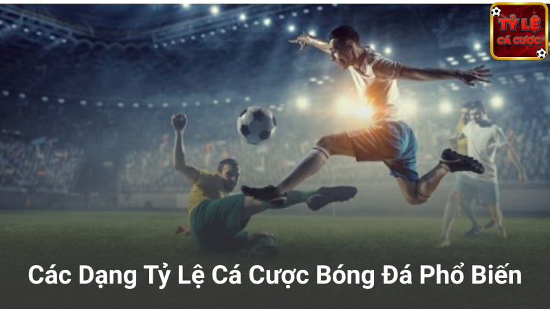 Các dạng tỷ lệ cá cược phổ biến