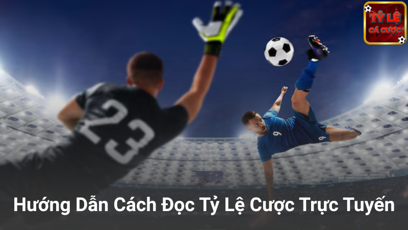 Mẹo áp dụng tỷ lệ cá cược hiệu quả